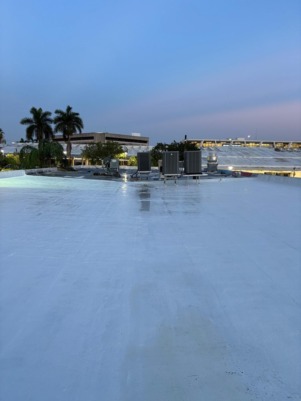 Completed reflective roof coating photographed at twilight with palm trees and the skyline beyond